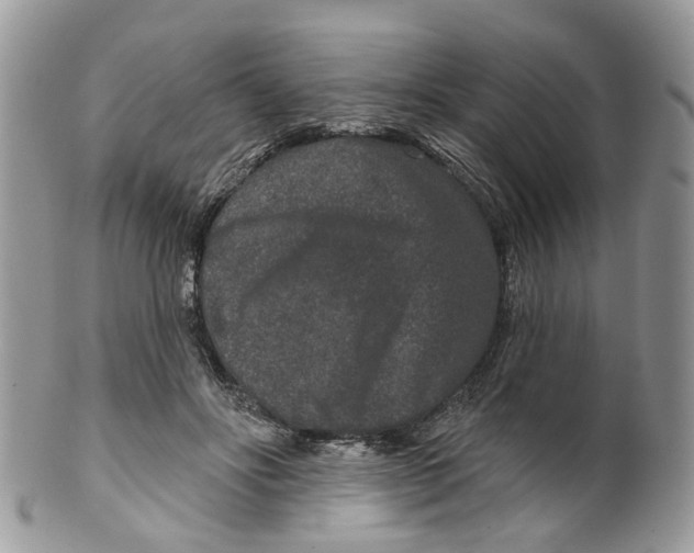 X0000099500502200806051126