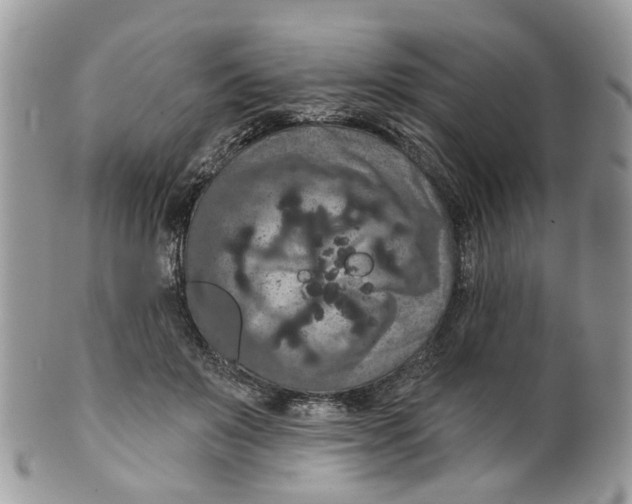 X0000099500503200806051126