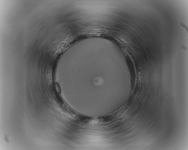 X0000099500504200806051126