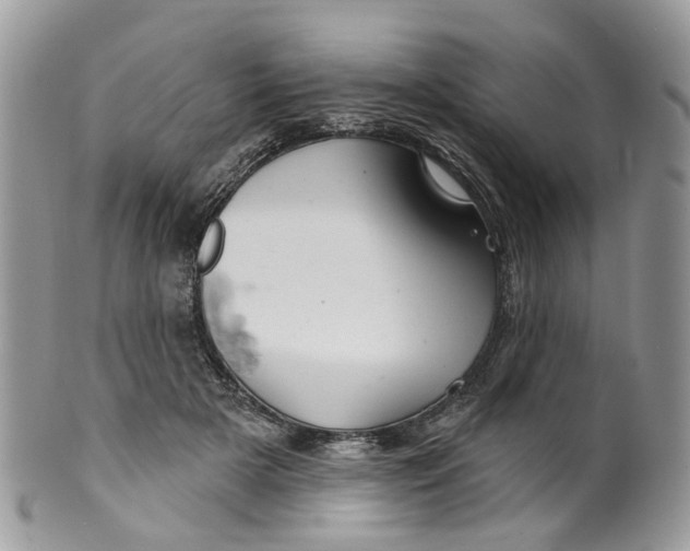 X0000099500505200806051126