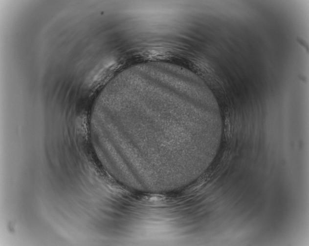 X0000099500506200806051126