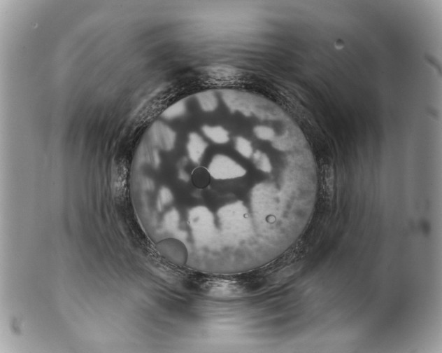 X0000099500507200806051126