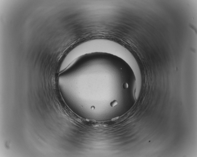 X0000099500508200806051126