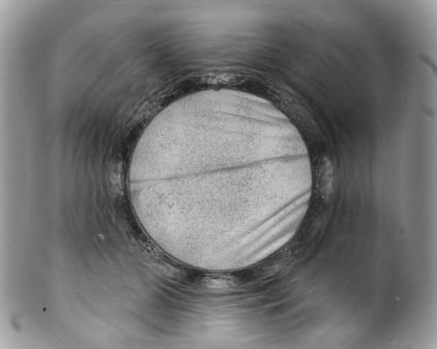 X0000099500510200806051126