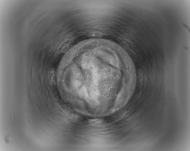 X0000099500511200806051126