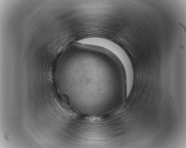 X0000099500512200806051126