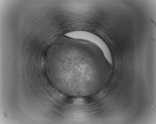 X0000099500513200806051126