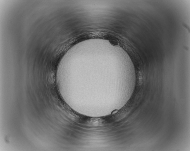 X0000099500514200806051126