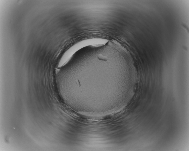 X0000099500516200806051126