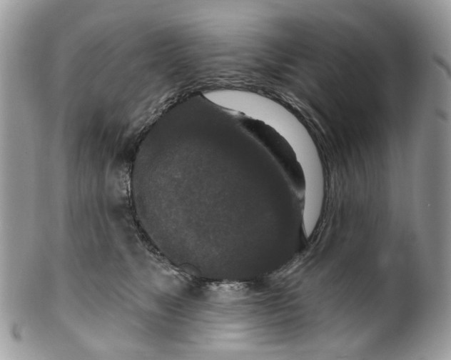 X0000099500517200806051126