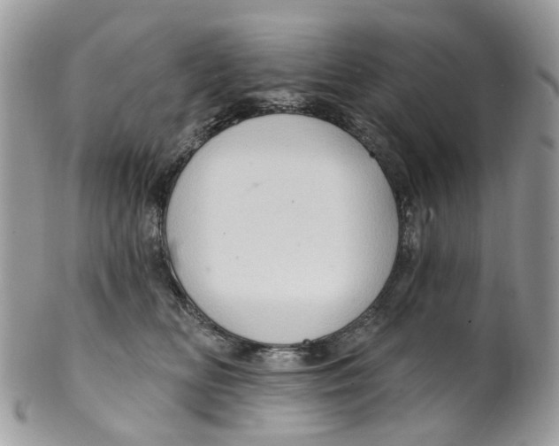 X0000099500518200806051126