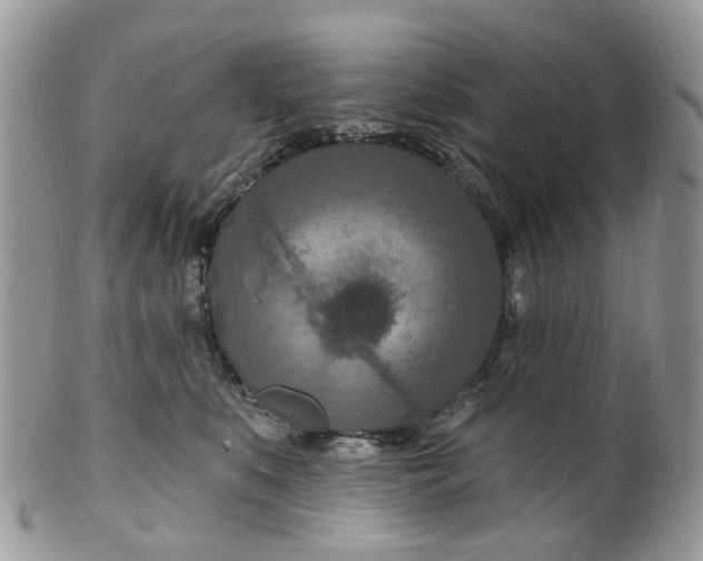 X0000099500519200806051126