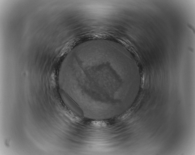 X0000099500520200806051126