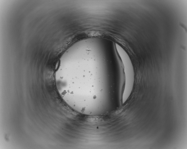 X0000099500521200806051126