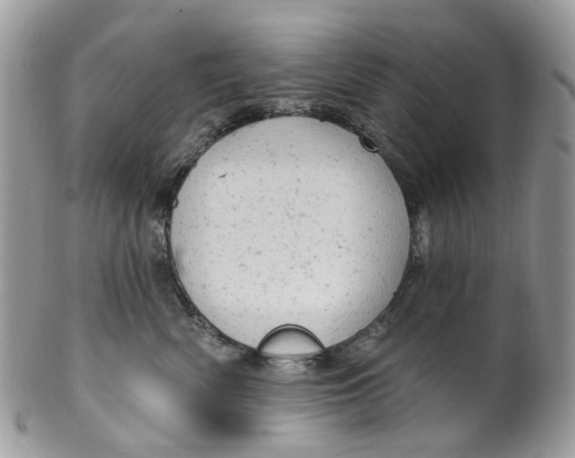 X0000099500522200806051126