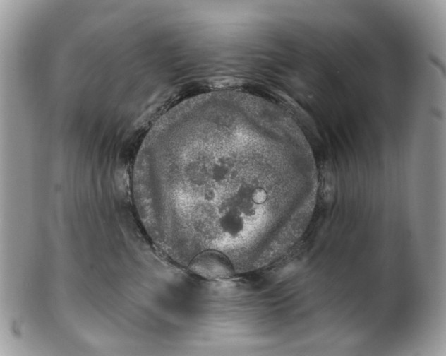 X0000099500523200806051126