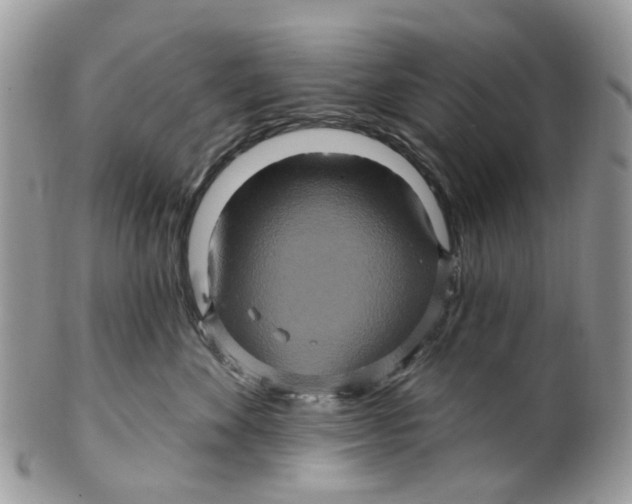 X0000099500524200806051126