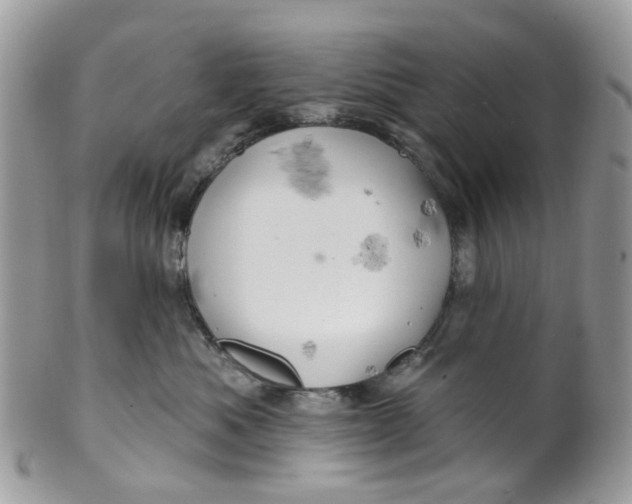 X0000099500525200806051126