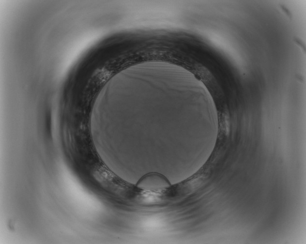 X0000099500526200806051126