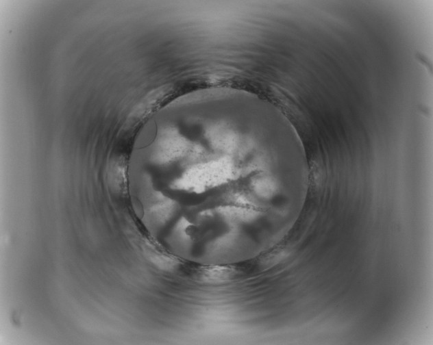 X0000099500527200806051126