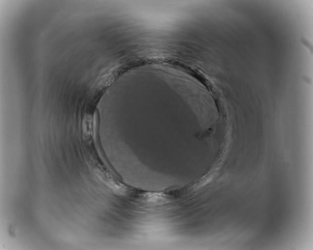 X0000099500528200806051126