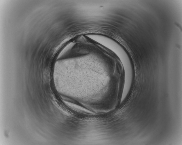 X0000099500530200806051125