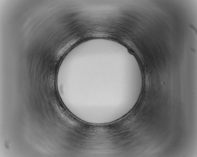 X0000099500533200806051125