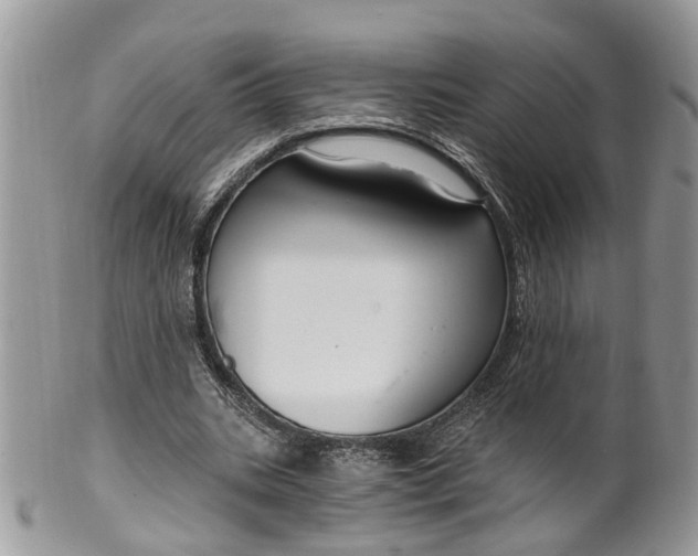 X0000099500535200806051125