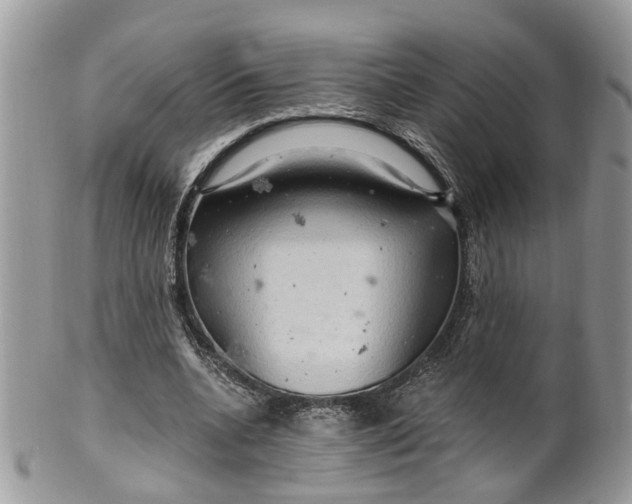 X0000099500536200806051125