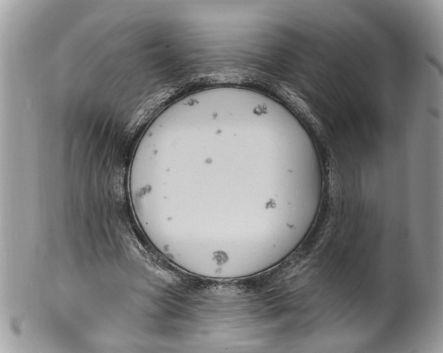 X0000099500537200806051125