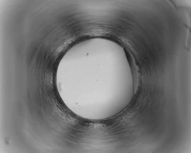 X0000099500539200806051125