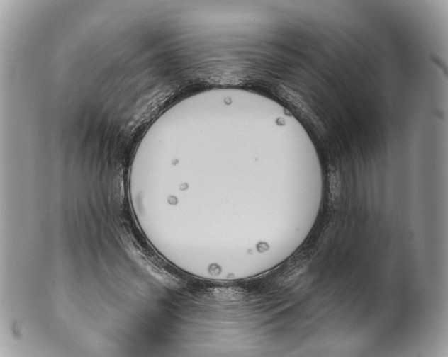 X0000099500541200806051125