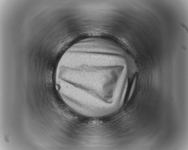 X0000099500543200806051125