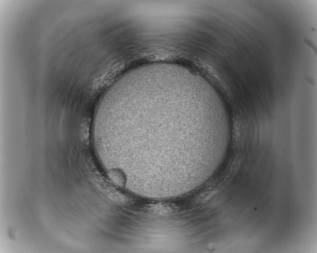 X0000099500545200806051125