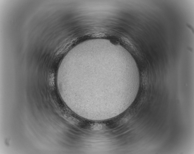 X0000099500549200806051126