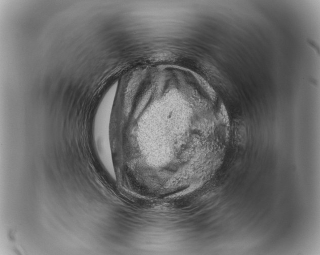 X0000099500550200806051126