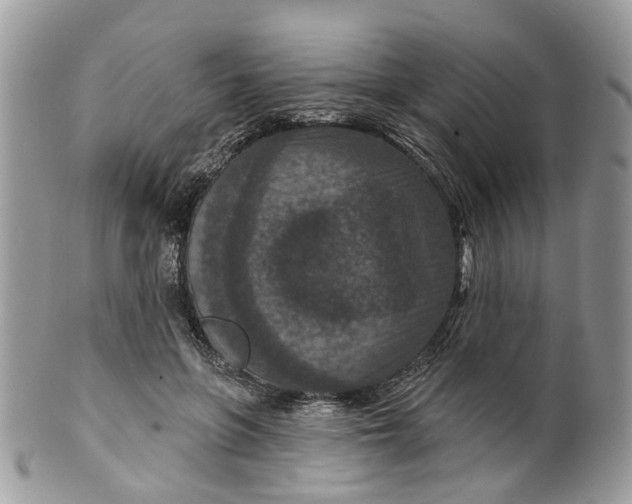 X0000099500551200806051126