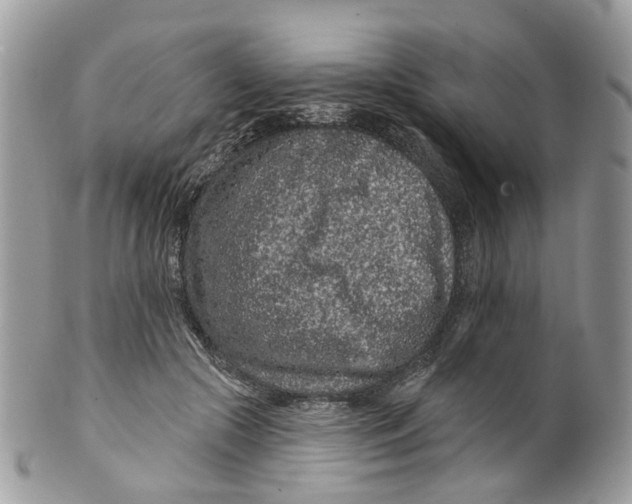 X0000099500553200806051126