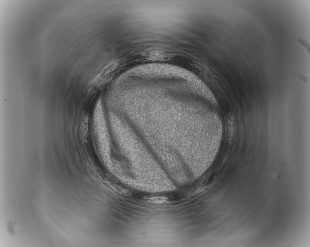 X0000099500554200806051126