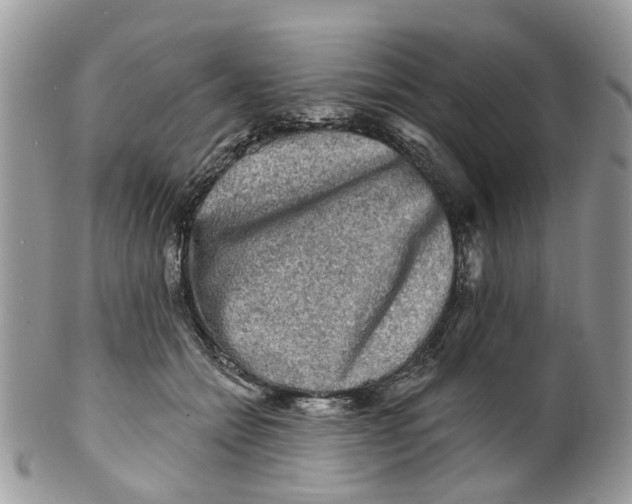 X0000099500558200806051126