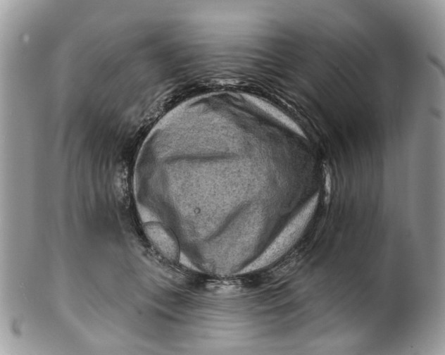 X0000099500559200806051126