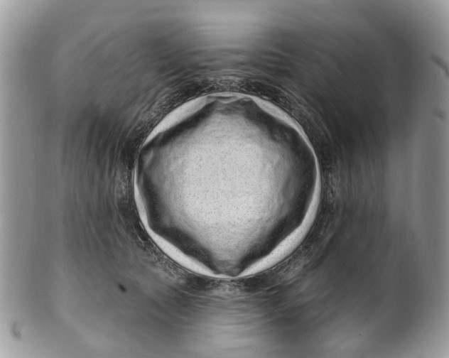 X0000099500561200806051126