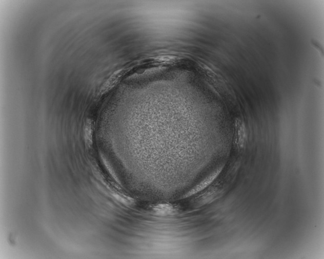 X0000099500562200806051126