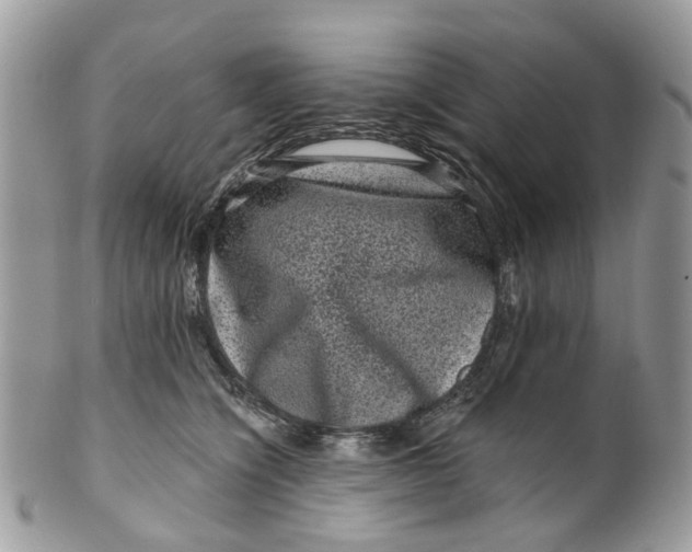 X0000099500564200806051126