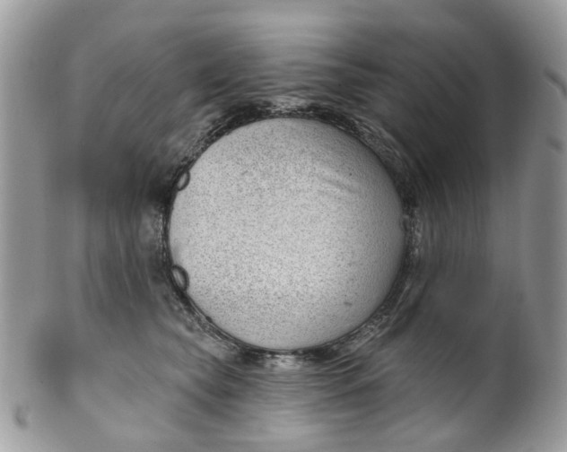 X0000099500565200806051126