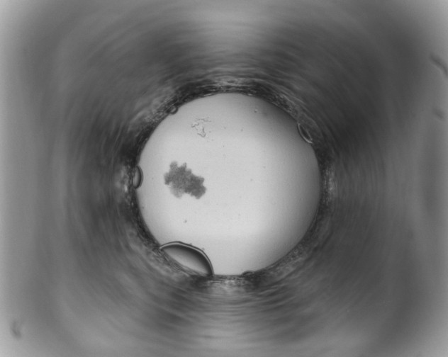 X0000099500567200806051126