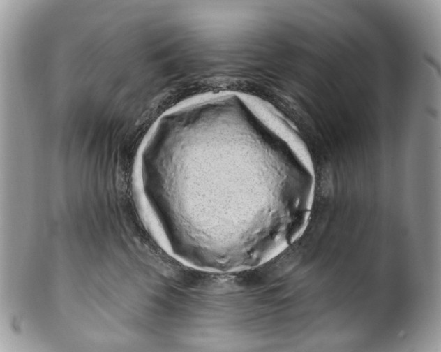 X0000099500569200806051126