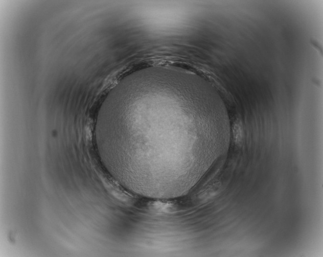 X0000099500570200806051126