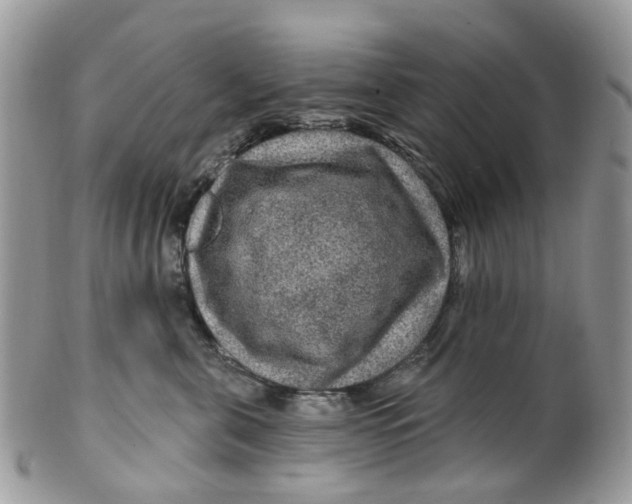 X0000099500571200806051126