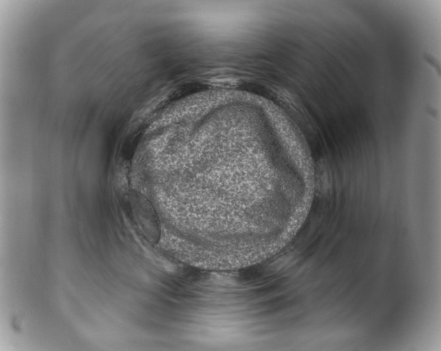 X0000099500573200806051126